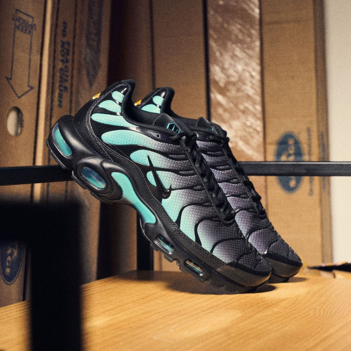 Nike Air Max Plus Schwarz Staubiger Kaktus