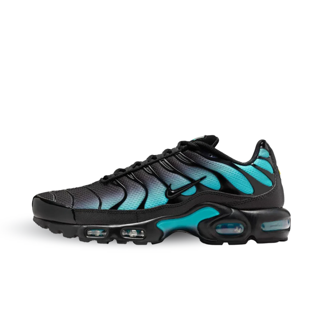 Nike Air Max Plus Black Dusty Cactus - DM0032-016