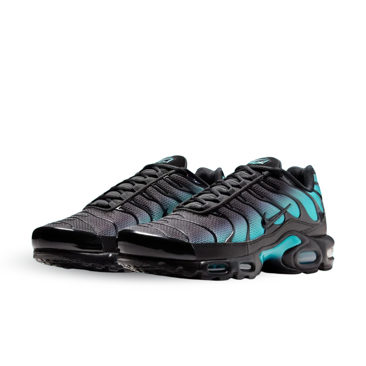 Nike Air Max Plus Black Dusty Cactus - DM0032-016