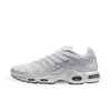 Nike Air Max Plus White - 604133-139