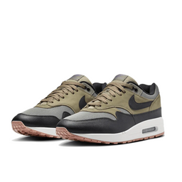 Nike Air Max 1 Dunkles Stuck